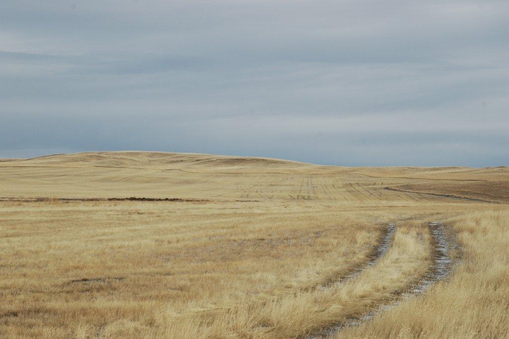 Copyright, 2011 Road to Judith Landing, MT